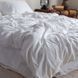 Комплект постільної білизни 160x220 LA MODNO STONEWASHED WHITE білий 200307 фото 2